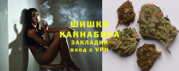ПСИЛОЦИБИНОВЫЕ ГРИБЫ Няндома