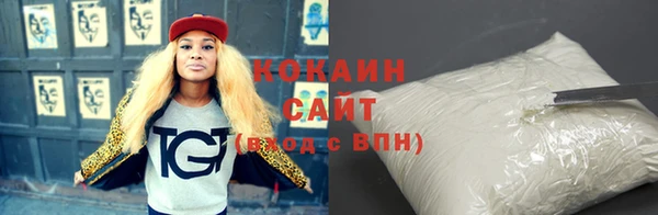 шишки Билибино