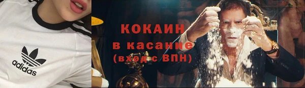 ПСИЛОЦИБИНОВЫЕ ГРИБЫ Няндома