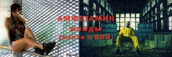 ПСИЛОЦИБИНОВЫЕ ГРИБЫ Няндома