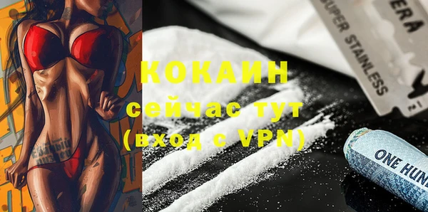 ПСИЛОЦИБИНОВЫЕ ГРИБЫ Няндома