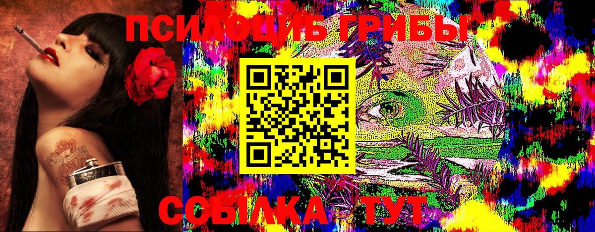 Галлюциногенные грибы MAGIC MUSHROOMS  Псилоцибиновые грибы мицелий  Минусинск  Вход с VPN 