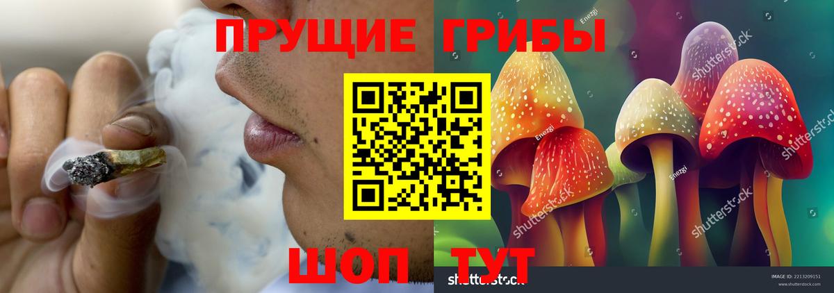 Галлюциногенные грибы GOLDEN TEACHER Минусинск